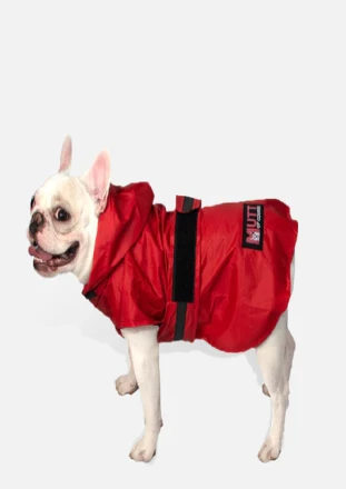 DogsMart Dog Raincoat Reddish red