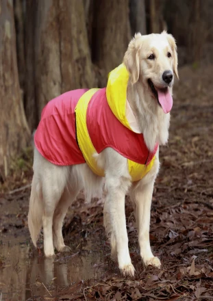 Dog Raincoat  stylish mix